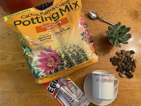 Cup and Saucer Planter Supplies