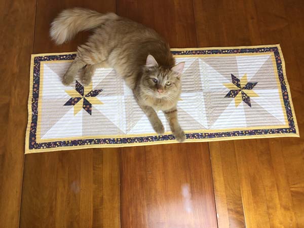Teddy the Cat Helping to Photograph the Hunter's Star Table Runner