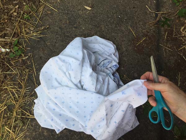 Tying Up Tomatoes  Sheet