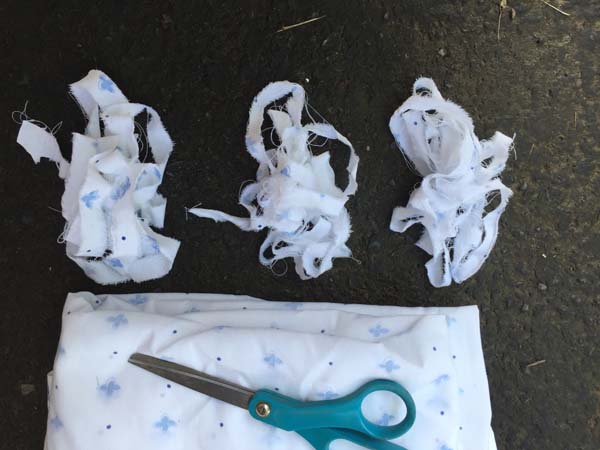 Tie Up Tomato Plants Strips